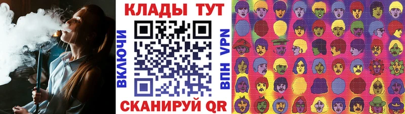 МЕФ Бабаево