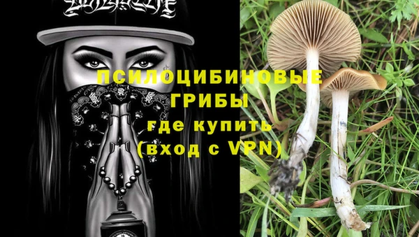 мяу мяу мука Гусев