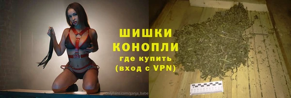 Альфа ПВП Аркадак