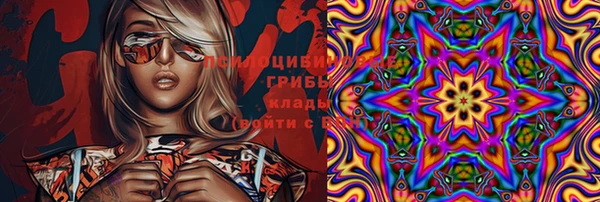 Альфа ПВП Аркадак